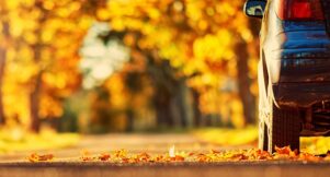 Autumn driving tips