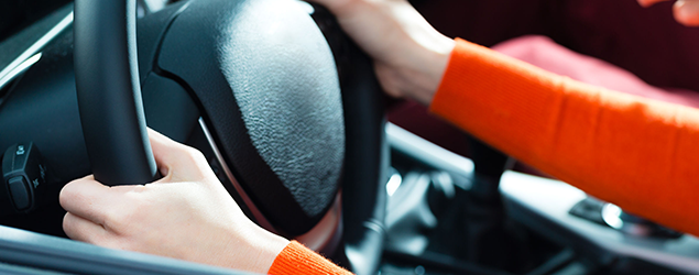How to check your driving licence