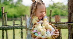 Shocked happy girl and Easter chicks. A surprised child finds baby chicks in an egg basket