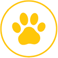 Mustard - Pet